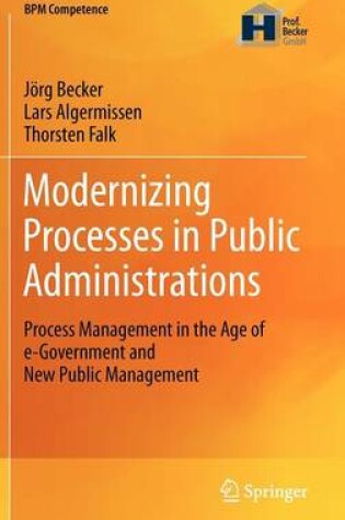 Cover of Modernizing Processes in Public Administrations