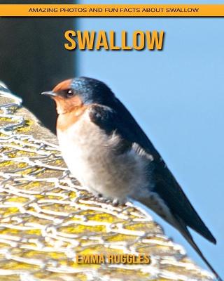 Book cover for Swallow