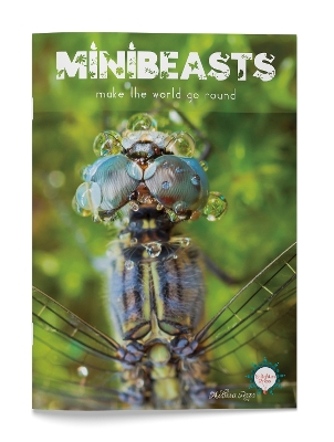 Book cover for Minibeasts Make The World Go Round