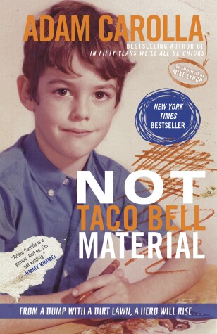 Book cover for Not Taco Bell Material