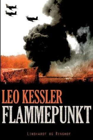 Cover of Flammepunkt