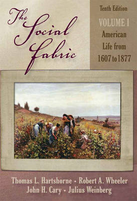 Book cover for The Social Fabric, Volume I