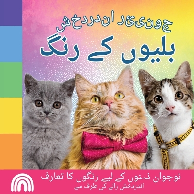 Cover of جونیئر اندردخش, بلیوں کے رنگ