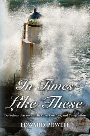 Cover of In Times Like These