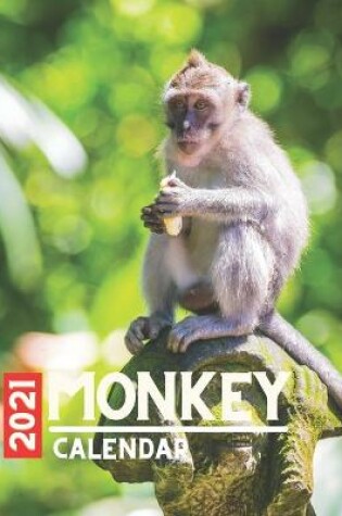 Cover of Monkey Calendar 2021