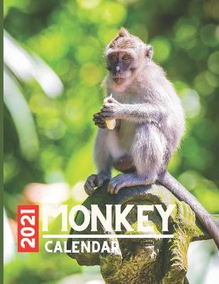 Book cover for Monkey Calendar 2021