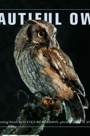 Cover of Beautiful Owls