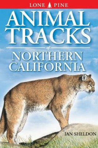 Cover of Animal Tracks of Northern California