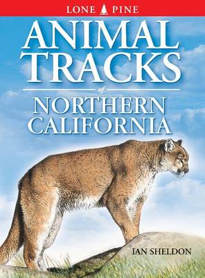 Book cover for Animal Tracks of Northern California