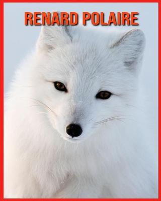 Book cover for Renard Polaire