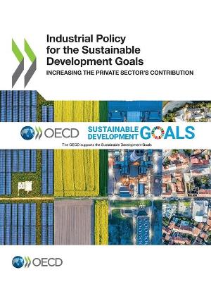 Book cover for Industrial Policy for the Sustainable Development Goals