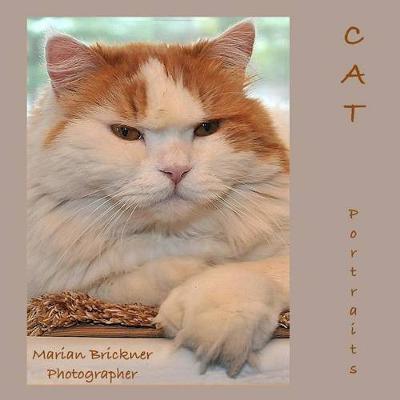 Book cover for Cat Portraits