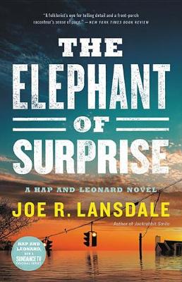 Book cover for The Elephant of Surprise
