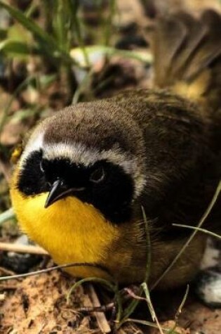 Cover of Common Yellowthroat (Geothlypis Trichas) Bird Journal