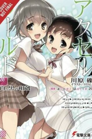 Cover of Accel World, Vol. 20 (light novel)