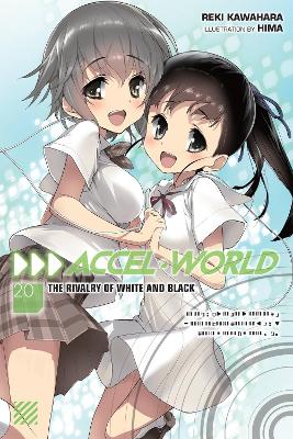 Book cover for Accel World, Vol. 20 (light novel)