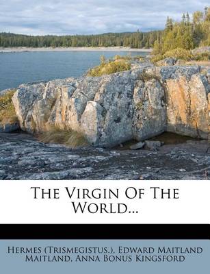 Book cover for The Virgin of the World...