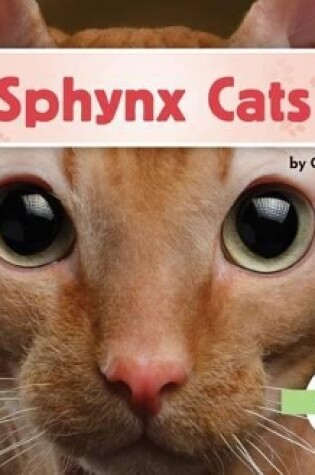 Cover of Sphynx Cats