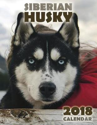 Book cover for The Siberian Husky 2018 Calendar (UK Edition)