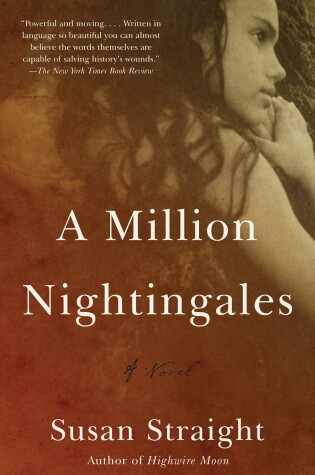 Cover of A Million Nightingales