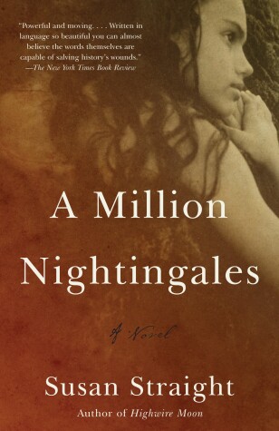 Book cover for A Million Nightingales