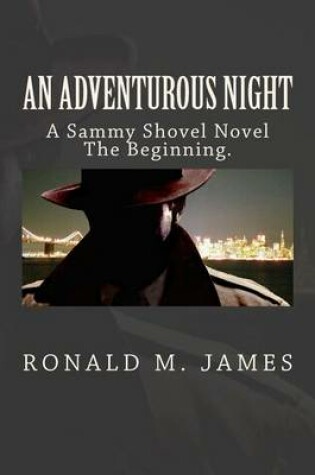 Cover of An Adventurous Night