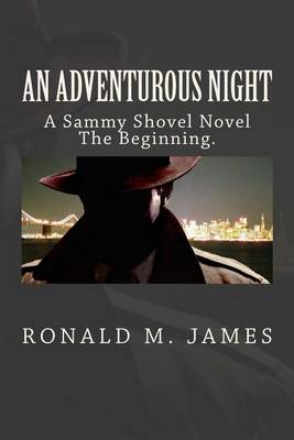 Book cover for An Adventurous Night