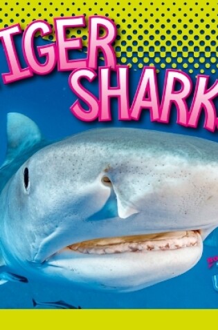 Cover of Tiger Sharks