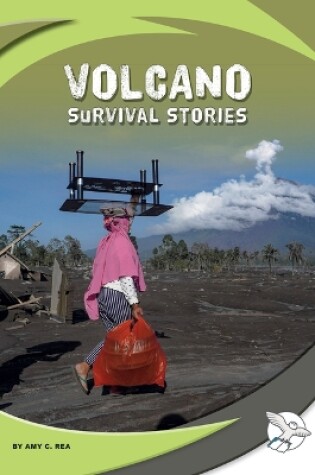 Cover of Volcano Survival Stories