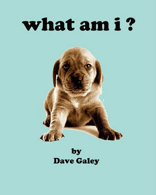 Book cover for what am i