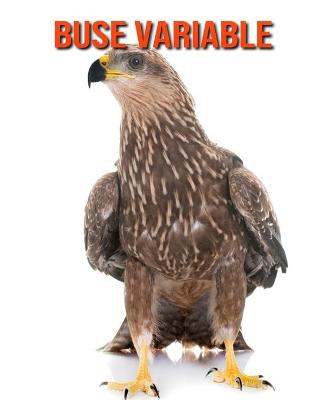 Book cover for Buse Variable