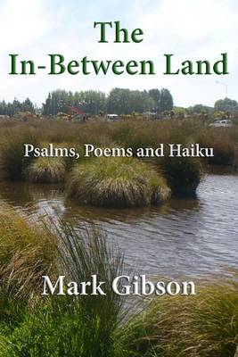 Book cover for The In-Between Land