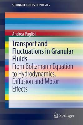 Cover of Transport and Fluctuations in Granular Fluids