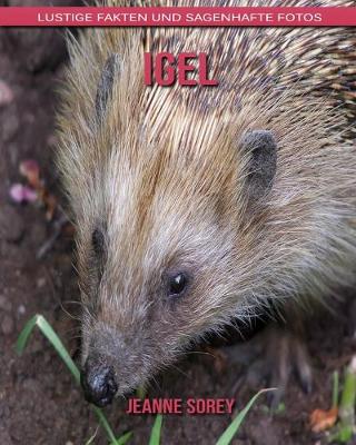 Book cover for Igel
