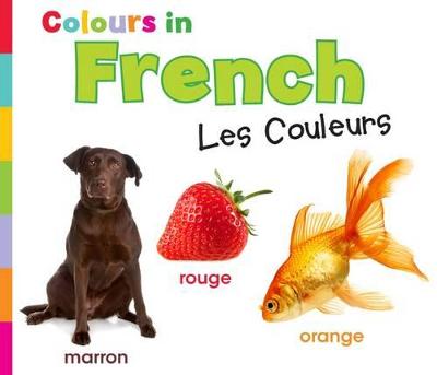 Book cover for Colours in French