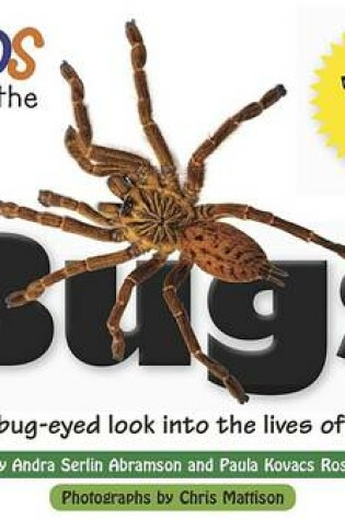 Cover of Kids Meet the Bugs