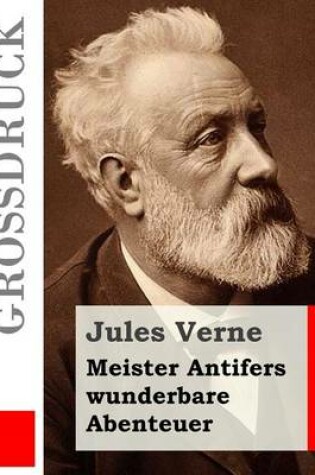 Cover of Meister Antifers wunderbare Abenteuer (Großdruck)