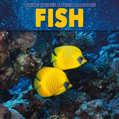 Cover of Fish