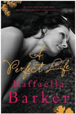 Cover of A Perfect Life