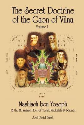 Book cover for The Secret Doctrine of the Gaon of Vilna