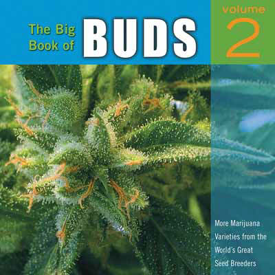 Book cover for The Big Book Of Buds Vol. 2