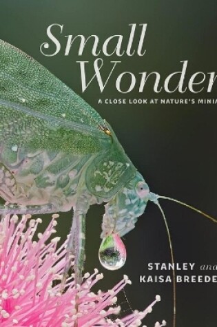 Cover of Small Wonders
