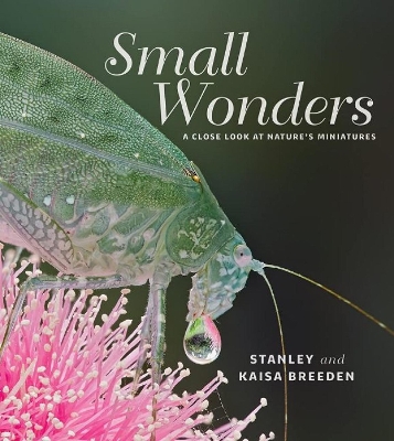 Book cover for Small Wonders