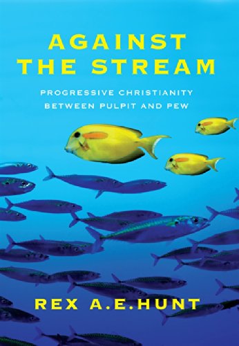 Book cover for Against the Stream