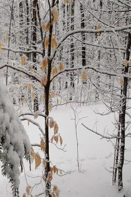 Book cover for 2019 Daily Planner Winter Scenic Snowy Woods 384 Pages