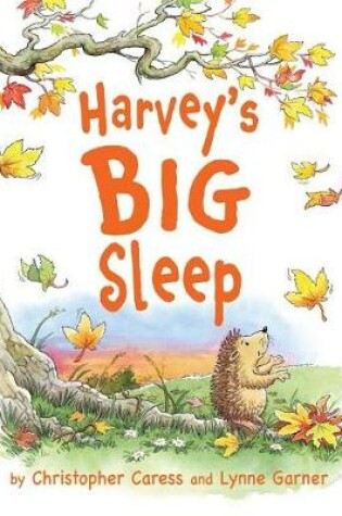 Cover of Harvey's BIG Sleep