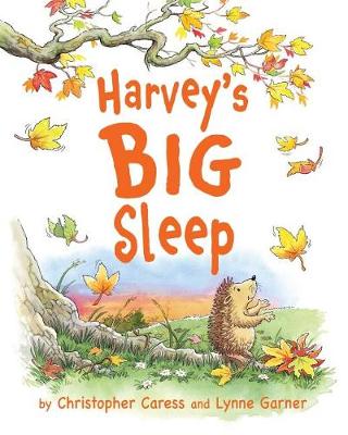 Book cover for Harvey's BIG Sleep