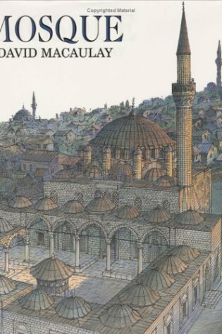 Cover of Mosque
