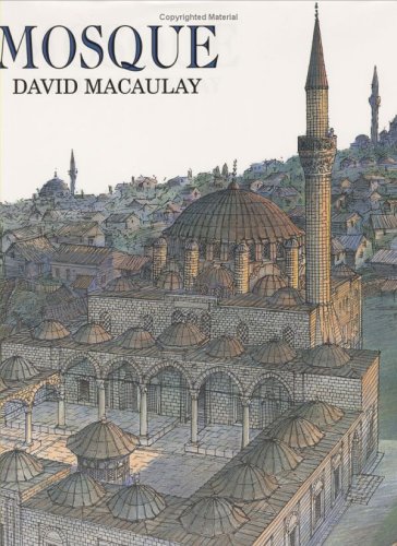 Book cover for Mosque