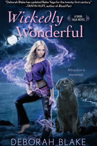Cover of Wickedly Wonderful